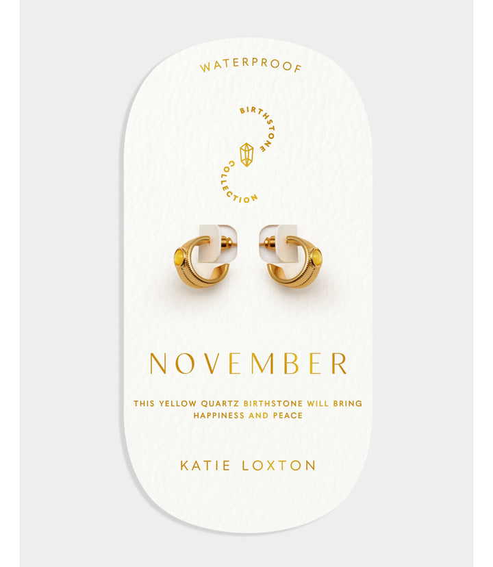 Birthstone Hoop Earrings - November